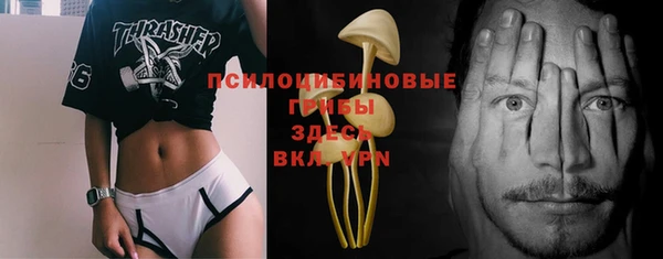 mix Алексеевка