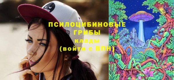 таблы Алзамай