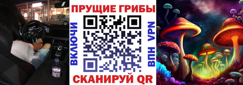 Псилоцибиновые грибы Psilocybine cubensis  даркнет формула  Орск  купить наркоту 